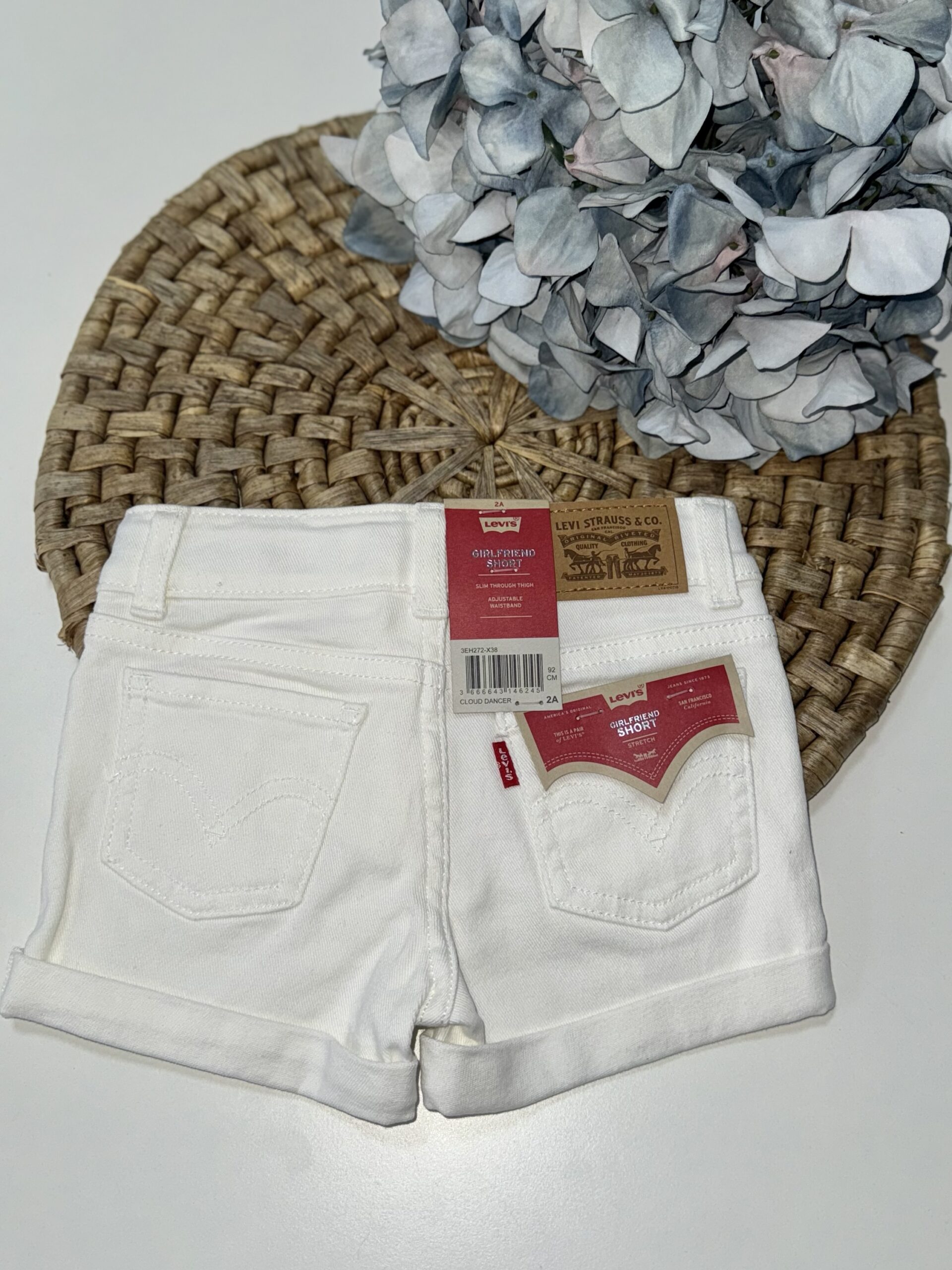 π³πππβπ
πΊππππ πππππ πππππππ πππ.272-πΏ38 - immagine 3