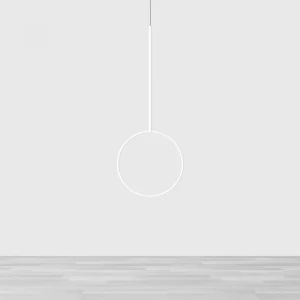 PENDULUM THE POLE – Innovativo strumento per Pole Dance e Cerchio Aereo